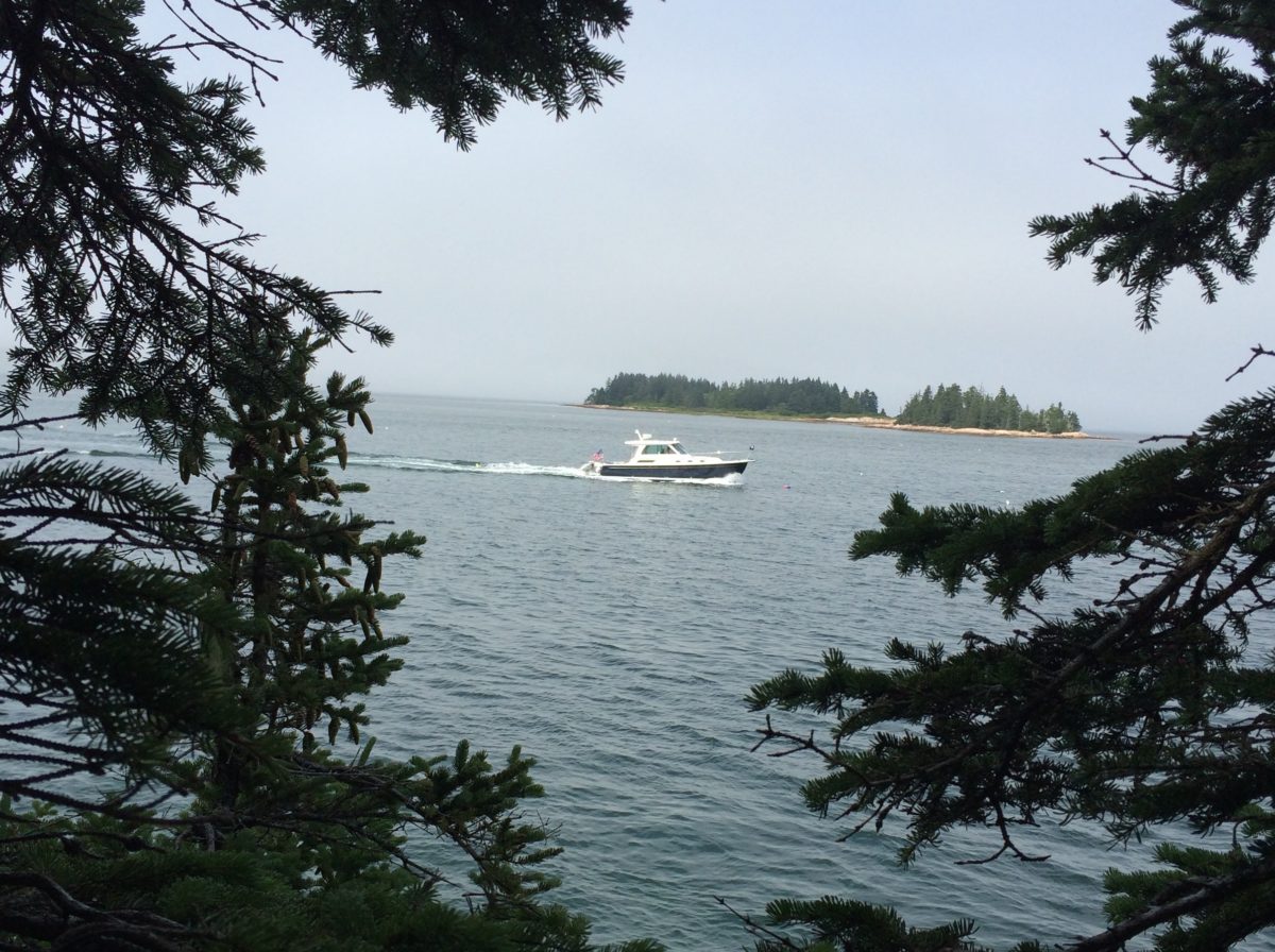 Location Scallop Cove Swans Island, Maine