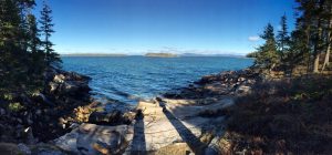 Ocean view. Acadia montians copy
